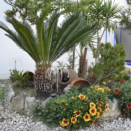 Irina's Stoudio 7 * Pszakúdia